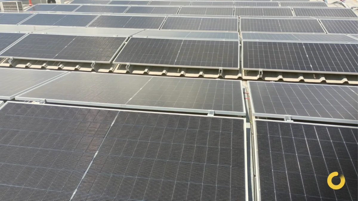 Como poupar energia elétrica nas empresas?