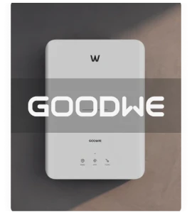 Goodwe